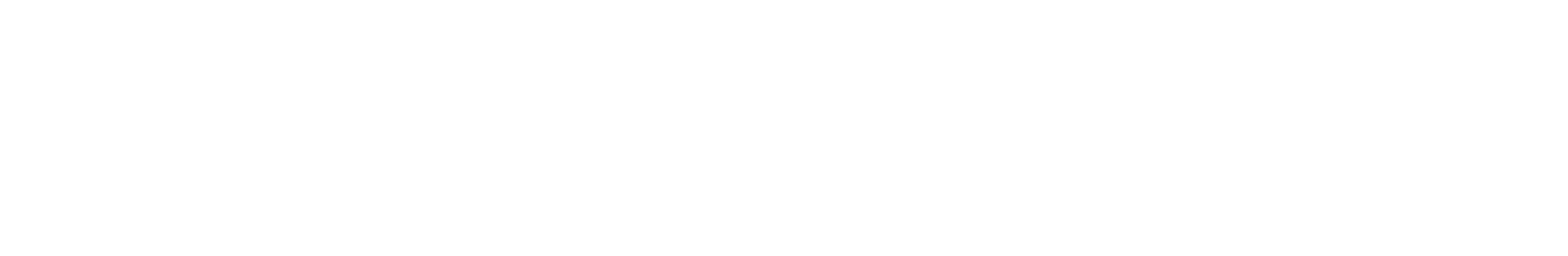 Dunlop Sports
